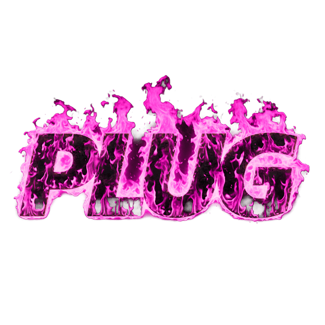 Plug